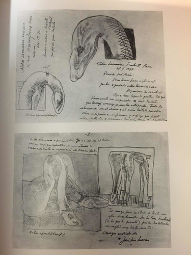 José Luis Cuevas Cartas Para Una Exposición (Usado)