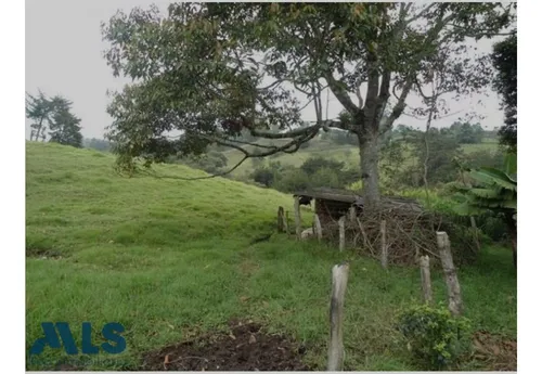 Finca Independiente En Rionegro - El Tablazo(mls#249941)