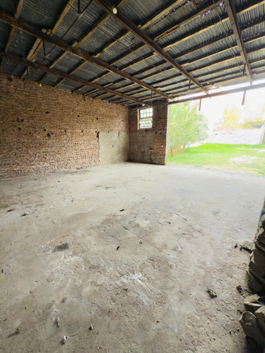 Casa Con Galpon, 2 Dormitorios, Patio, Apto Taller