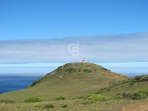 Para Proyecto De Inversión Vista Al Mar 20.000m2