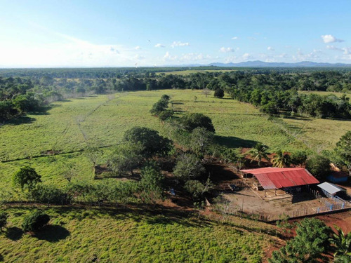 Vendo Esta Finca De 1050 Tareas En Bayaguana De Monte Plata