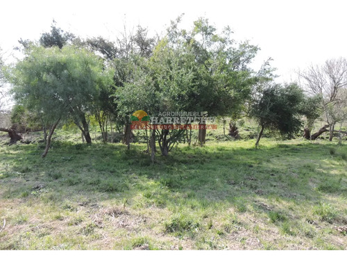 Chacra En Venta Los Cerrillos, 1 Has Con Casa De Dos Dormitorios