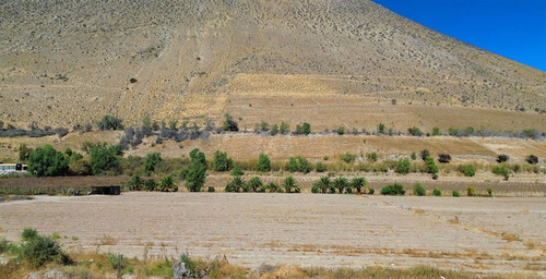 Parcela En Venta En Peralillo, Vicuña