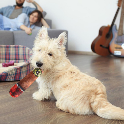 Juguete Para Perros Con Cigarrillos, Juguete Interactivo