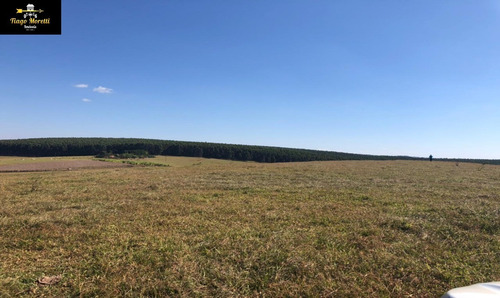 Imagem 3 de 19 de Excelente Fazenda Á Venda Com Ótima Localização Sarutaiá-piraju - Fa00036 - 68204645