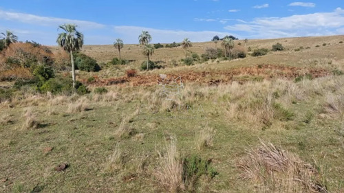 Campo De 80 Has En Paraje Carape Con Costa De Arroyo.