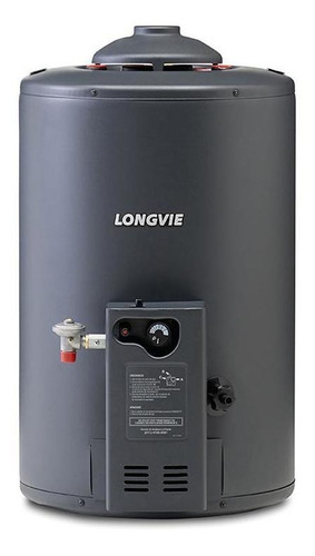 Termotanque Longvie Tp350ar 40 Lts Superior Grafito