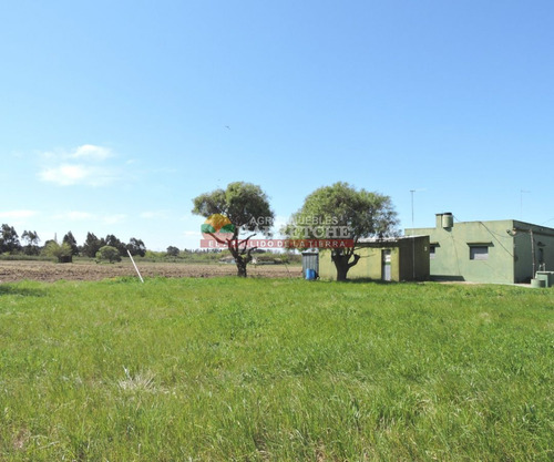 Imagen 2 de 28 de Chacra En Venta Progreso, 4.5 Has Muy Bien Ubicadas!