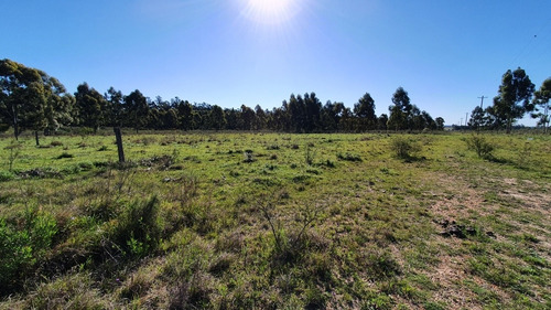 Terreno Lotes Federacion - Entre Rios 1080m2 -a 1,5km De Termas!