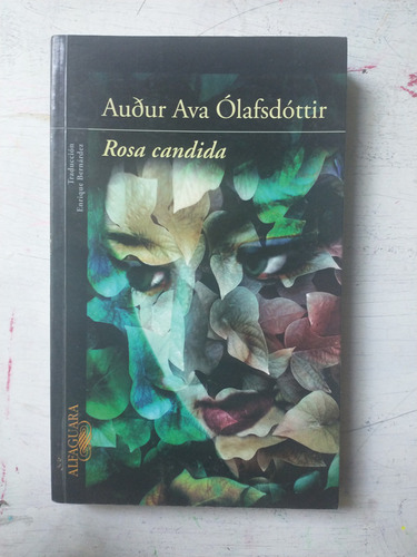 Rosa Candida Audur Ava Olafsedottir