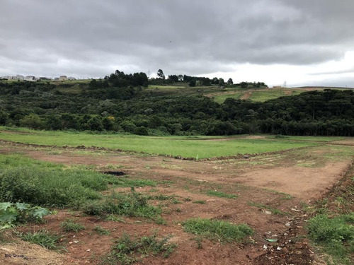 Imagem 12 de 15 de Terreno Para Venda Em Ponta Grossa, Neves - L-eco31_1-859684