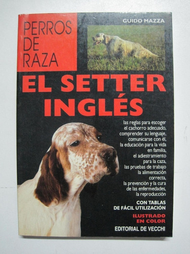 Mazza: El Setter Inglés