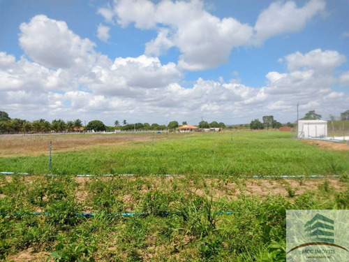 Imagem 16 de 30 de Granja A Venda Em Macaíba