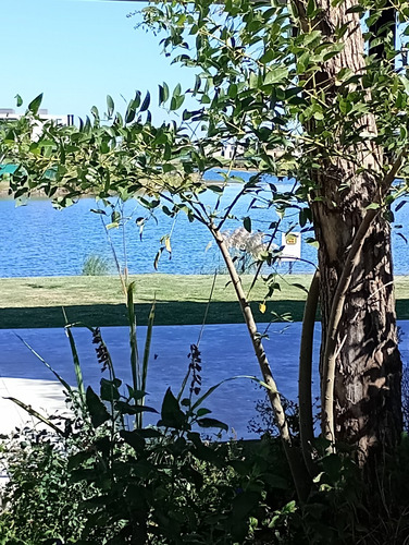 Puertos Lote En Venta