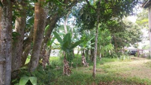 Imagem 18 de 24 de Chácara Com Edícula E Com 2.100 M² De Área Total, Em Itanhaém, No Bairro Palmeiras Ref: 9496/ac