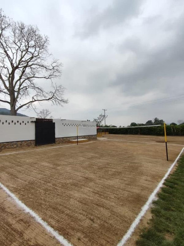 Imagen 14 de 24 de Rosaura Cortez Vende Finca Agroindustrial En Bejuma Reyes Arriba