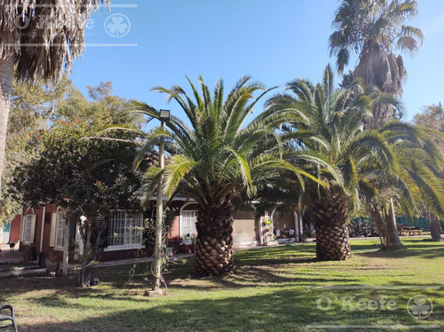 Quinta En Venta En Arturo Segui, La Plata Sobre Lote De 6000 M2