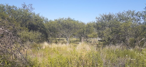 Imagen 3 de 6 de Se Vende Lote En Las Chacras Villa De Las Rosas Córdoba
