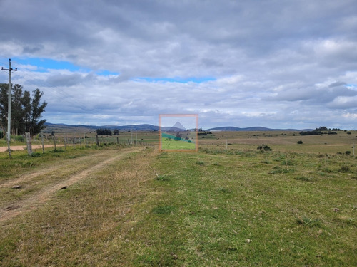 Imagen 25 de 25 de 20has De Campo Sobre Ruta 12 Pueblo Edén