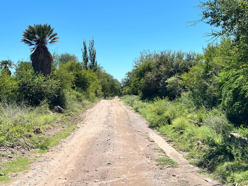 Tres Hectareas En San Francisco Del Monte De Oro.