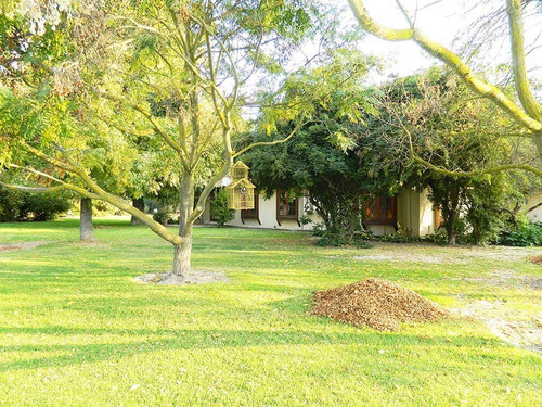 Imagen 19 de 24 de Gran Casa Con Jardín Formado En Calera De Tango