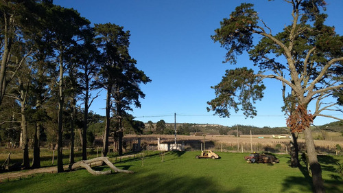 Campo En Venta Provincia De Buenos Aires Ruta 226