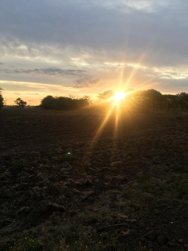 Lote En Venta En General Rodriguez, Zona Oeste, Sin Expensas, Excelente Ubicación Y Acceso Con Asfalto.