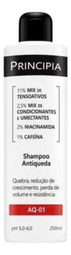 Shampoo Antiqueda E Crescimento Principia (aq-01) 250ml