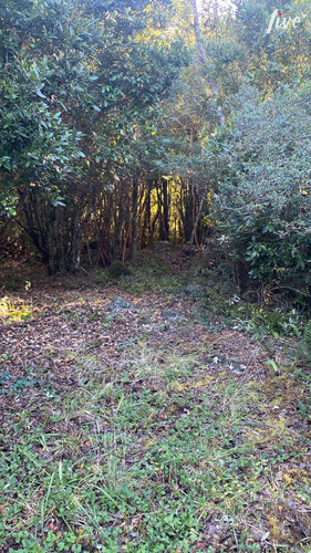 Vendo Terreno En Pucón, Sector Metreñehue