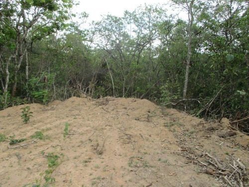 Imagem 14 de 15 de Terreno Para Venda Em Esmeraldas, Floresta Encantada - T23_1-1019445