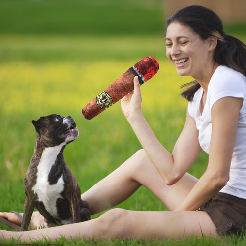 Juguete Para Perros Con Cigarrillos, Juguete Interactivo