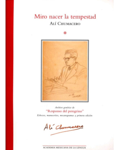 Libro.- Miro Nacer La Tempestad