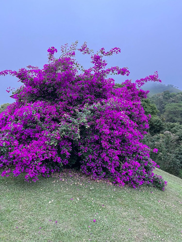 Belíssima Propriedade Em Visconde De Mauá