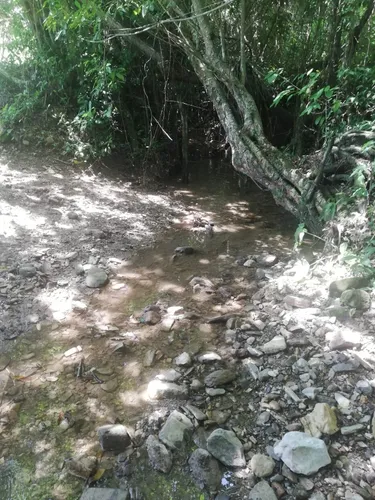 Finca Ganadera Con Nacimiento De Agua Propio