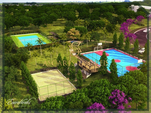Imagem 13 de 26 de Terreno À Venda Em Vila Brandina - Te000051