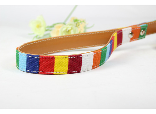 Conjunto De Correa De Cuero Con Correa De Cuero Con Diseño D