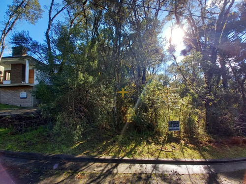 Imagem 1 de 6 de Terreno No Loteamento Vivendas Do Arvoredo - 1056