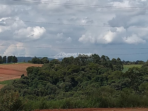 Imagem 12 de 13 de Lindo Terreno No Bairro Lageadinho Ibiúna .cod 380.