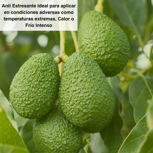 Fertilizante Orgánico Alto En Aminoácidos - Estrés Plantas
