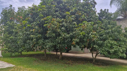 Casa En Venta Seminueva En Cuernavaca Con Areas Recreativas