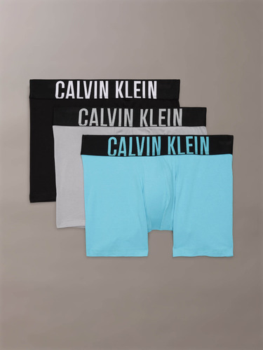 Pack De 3 Bóxer Briefs Largos Multicolor Calvin Klein Hombre