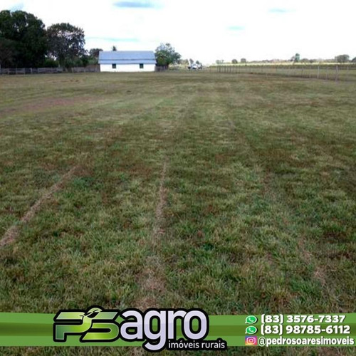 Imagem 12 de 30 de Fazenda À Venda, 430000 M² Por R$ 313.900.000,00 - Centro - Pium/to - Fa0047