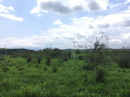 Imagen 16 de 30 de 33 Has Cerca De Altozano El Nuevo Colima