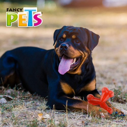 Juguete Para Perro Grande Juguete Hueso Triple Fancy Pets