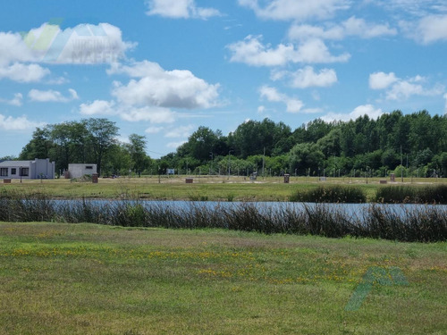 Imagen 14 de 24 de Venta De Lote A Laguna - Villanueva