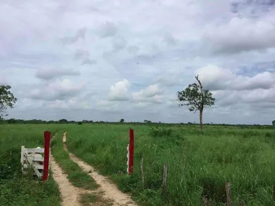Rancho en venta