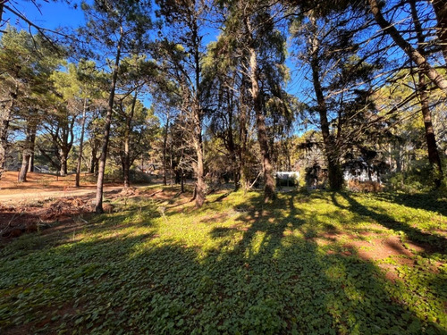 Imagen 9 de 16 de Lote En Carilo Hornero Y Paraíso