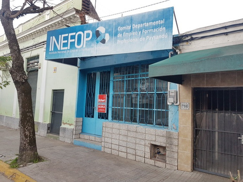 Local Comercial Con Depósito Y Baño Completo, En Excelente Ubicación. Zorrilla E Ituzaingó