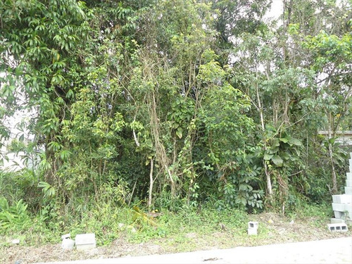 Imagem 4 de 6 de Terreno - Venda - Verde Mar - Itanhaem - Ita2613