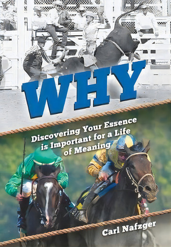 Why, De Carl Nafzger. Editorial Kemmet Schreiben, Tapa Dura En Inglés